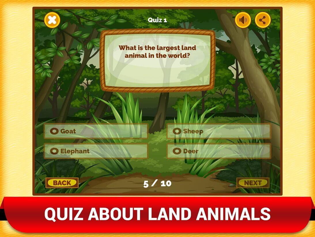 dierenquiz voor kinderen