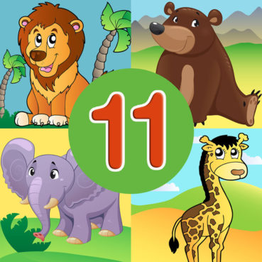 Animal quiz 11