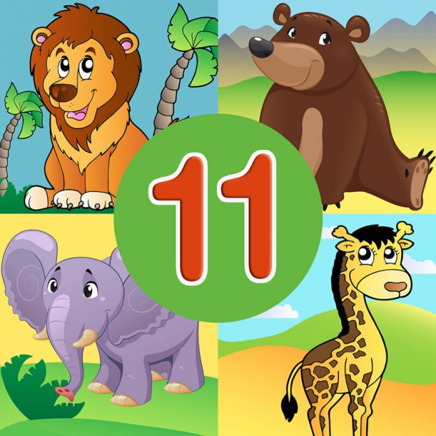 Animal quiz 11