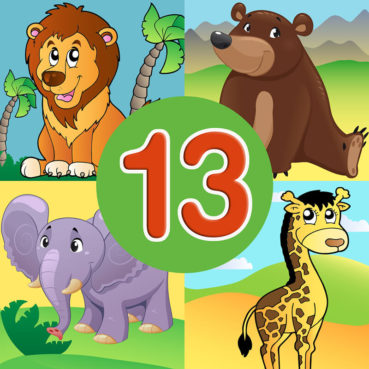Animal quiz 13