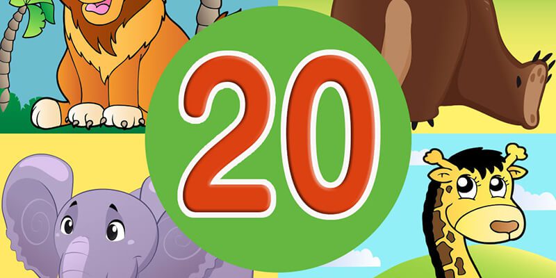 Animal Quiz 20