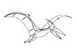 Pteranodon-Coloring-Worksheet