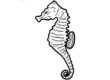 Seahorse Coloring Worksheet