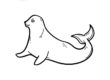 Seal Coloring Worksheet