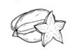 Starfruit-Coloring-Worksheet