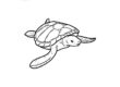 Turtle Coloring Worksheet