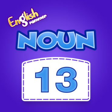 noun quiz 13