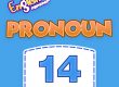 Pronoun Quiz 14