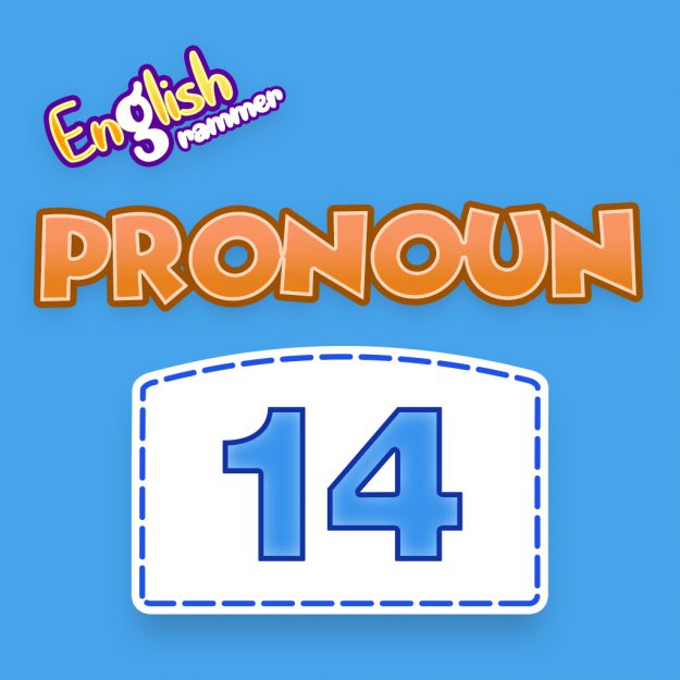 Pronoun Quiz 14