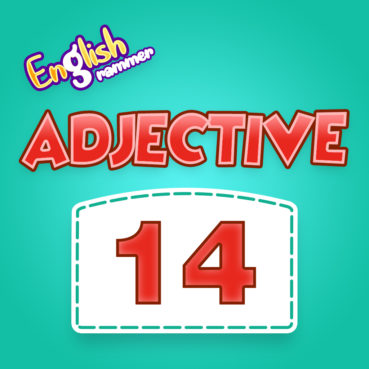 Adjective Quiz 14