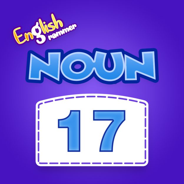 Noun Quiz 17