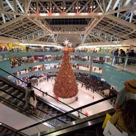 Hit Spots For Kids Activities in Dallas