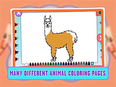 Animal Coloring