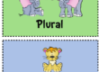 singular plural