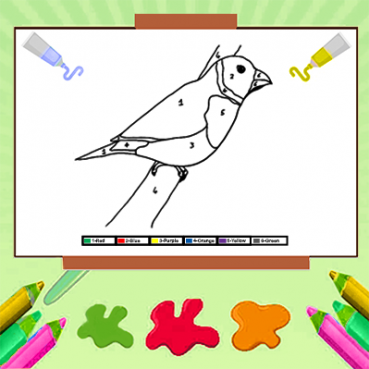 Boja po broju Ptica Boja po broju Ptica