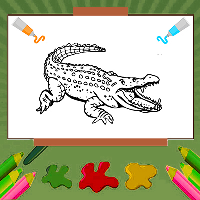 alligator coloring pages