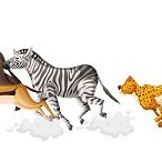 How Animals Move Worksheet