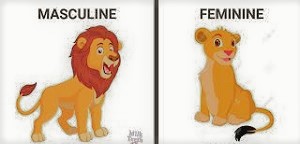 Masculine and Feminine