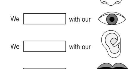 5 sentits 01 5 sentits