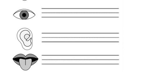 5 புலன்கள் 02 5 புலன்கள் 02