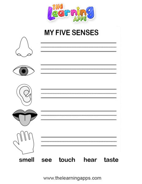 5 senses 02