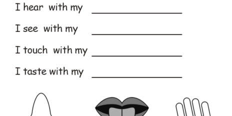 5 zmysłów 07 5 zmysłów 07