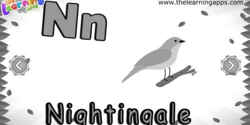 اے بی سی اینیمل این اے بی سی اینیمل این