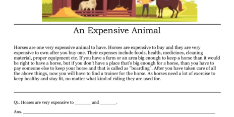 An Expensive Animal Comprehension An Expensive Animal Comprehension