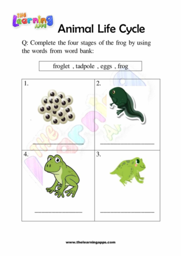 Download Free Printables Animal Life Cycle Worksheets 03 for Kids