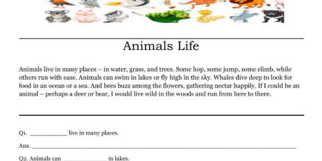Animals Life Comprehension Animals Life Comprehension