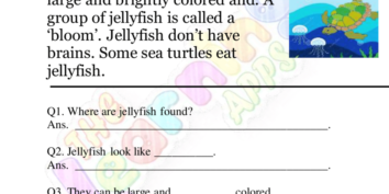 美しいクラゲの理解