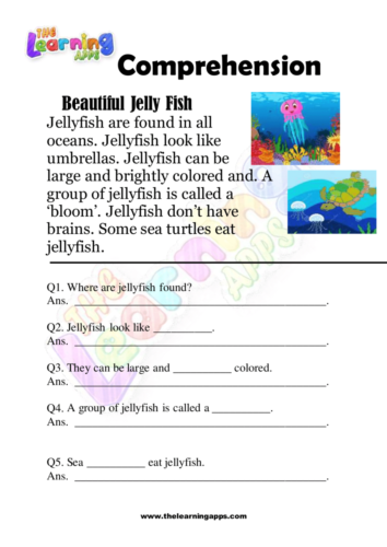 Beautiful Jelly Fish Comprehension