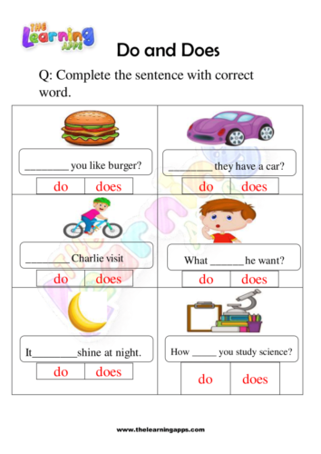 Do and Does Worksheet 10