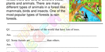 Comprensione delle foreste Comprensione delle foreste