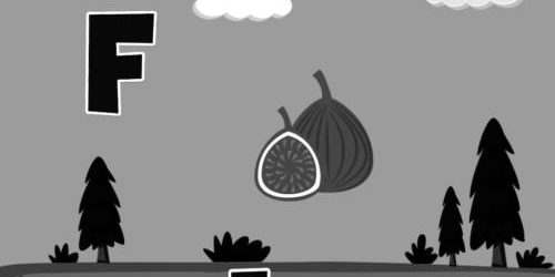 Fruit ABC F