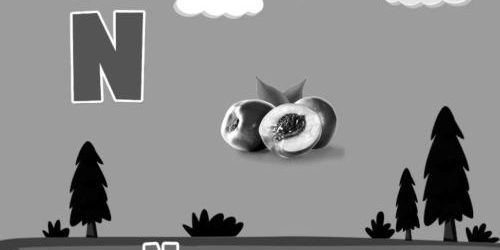 Fruit ABC N