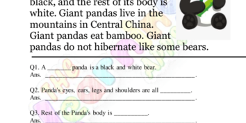 Comprensione del panda gigante Comprensione del panda gigante