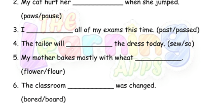 Homophones 3 Homophones 3