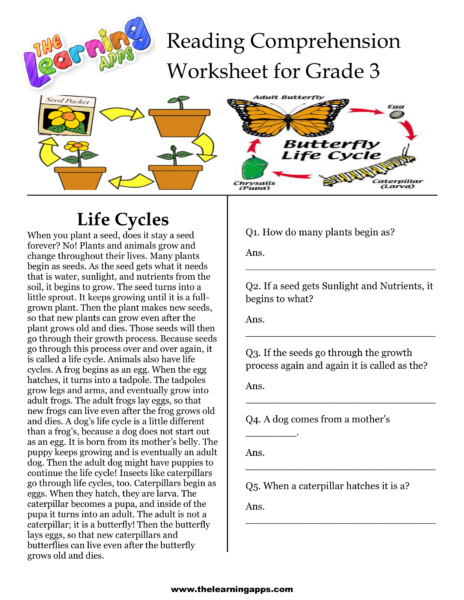 Life Cycles Comprehension Worksheet