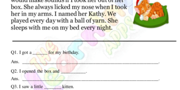 Petita comprensió del gat Petita comprensió del gat