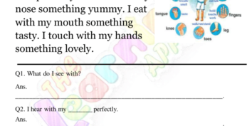 La mia comprensione di vendita La mia comprensione di vendita