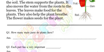 ພາກສ່ວນຂອງຄວາມເຂົ້າໃຈພືດ ພາກສ່ວນຂອງຄວາມເຂົ້າໃຈພືດ