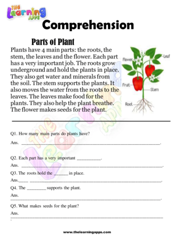 Parts of Plant Comprehension