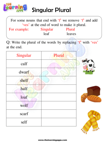 Plurals Worksheets 07