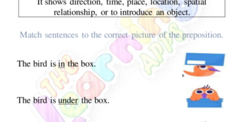 Preposition Worksheet 03