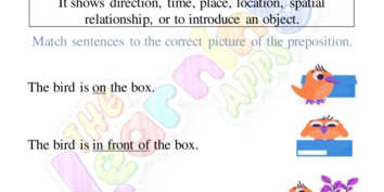 Preposition Worksheet 06