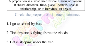 Preposition Worksheet 08