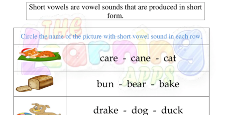 Short vowels Worksheet 10
