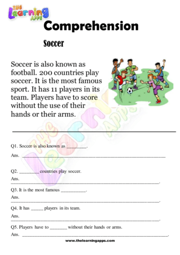 Soccer Comprehension