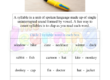 Syllable Worksheet 05